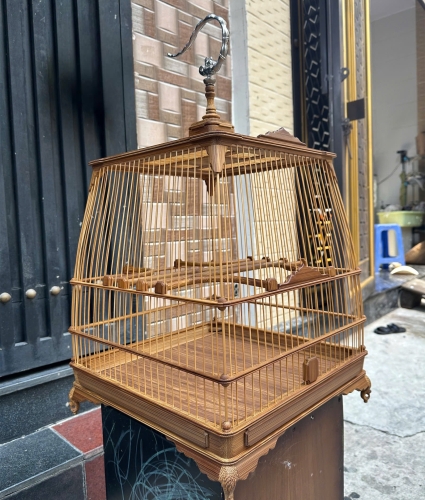 Chào mào đế chậu bông