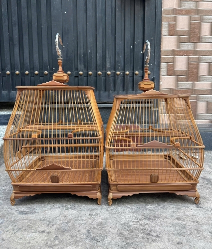 Chào mào đế chậu bông