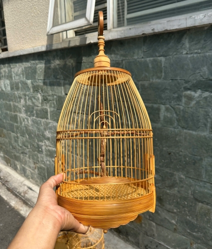 Lồng chum hút mật cầu rễ