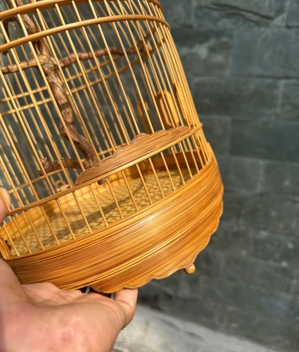 Lồng chum hút mật cầu rễ