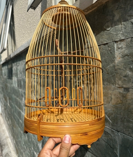 Lồng chum hút mật cầu rễ