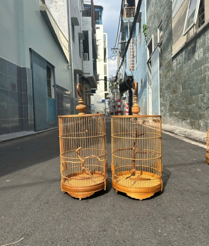 Lồng chim hút mật ốc mít nóc bằng