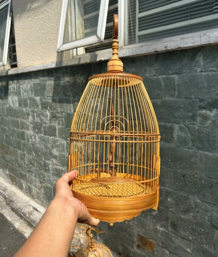 Lồng chum hút mật cầu rễ