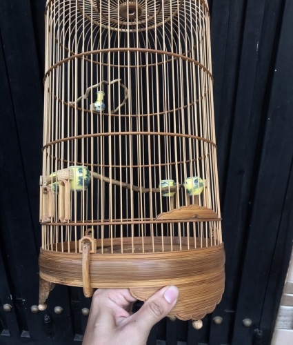 LỒNG HÚT MẬT ỐC MÍT 5 VÀNH