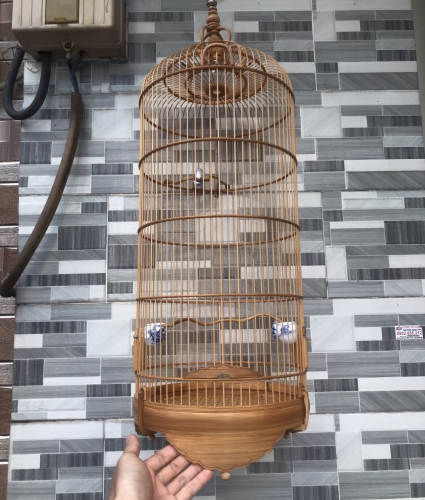 LỒNG HÚT MẬT ỐC MÍT 5 VÀNH