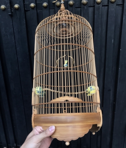 LỒNG HÚT MẬT ỐC MÍT 4 VÀNH
