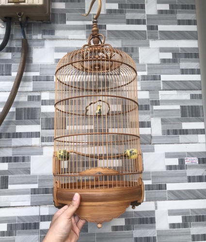LỒNG HÚT MẬT ỐC MÍT 4 VÀNH