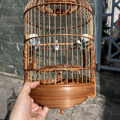 khuyên hoa mai
