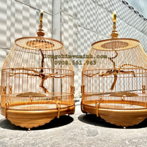 Lồng chum Cầu Rễ chống ngoái