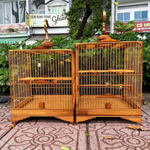 Bo Góc Bản nâng cấp
