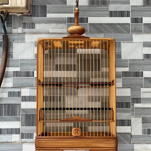 lồng hút mật bo góc tre già