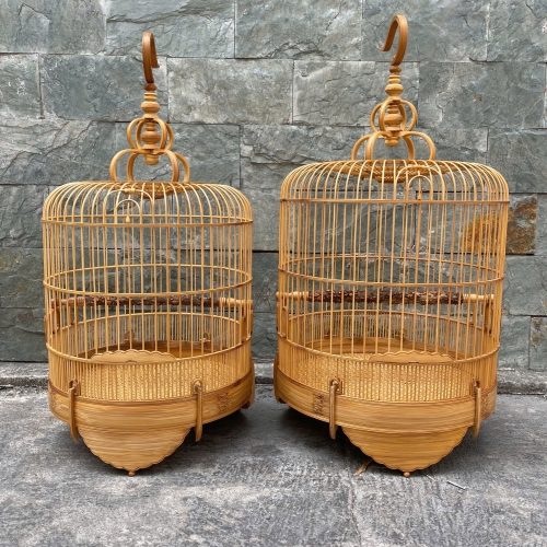 Mi Khướu chạy chỉ