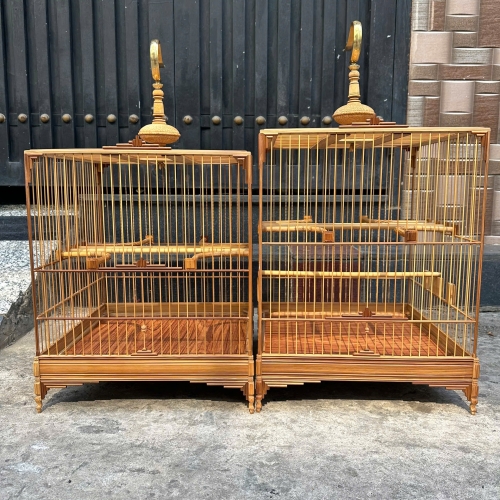 Chào mào báng súng mẫu mới