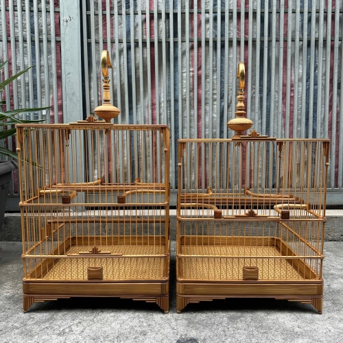 Lồng chào mào che góc