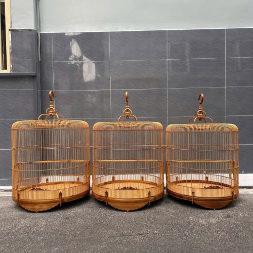 lửa size lớn 92-96-100