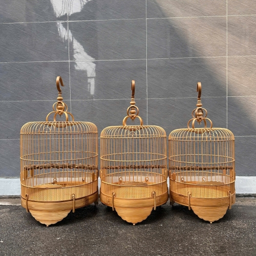 Lồng Mi , Khướu trơn