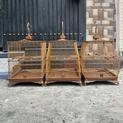 Chào mào đế chậu bông