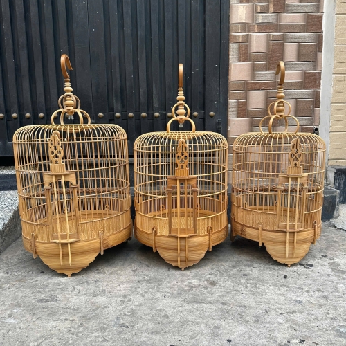 LỒNG MI KHƯỚU KIẾM FULL TRE